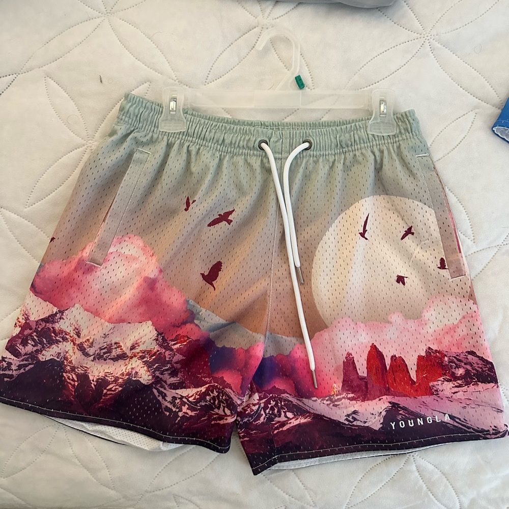 YoungLA 141 Block Party shorts